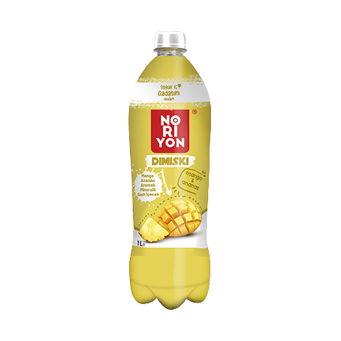 Dımışkı Mango Ananas 1000 ml