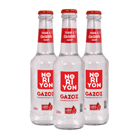 NORİYON Gazozu 250 ml